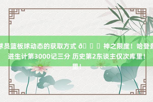 球员篮板球动态的获取方式 😀神之限度！哈登轰进生计第3000记三分 历史第2东谈主仅次库里！