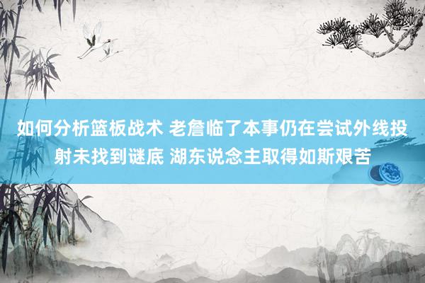 如何分析篮板战术 老詹临了本事仍在尝试外线投射未找到谜底 湖东说念主取得如斯艰苦