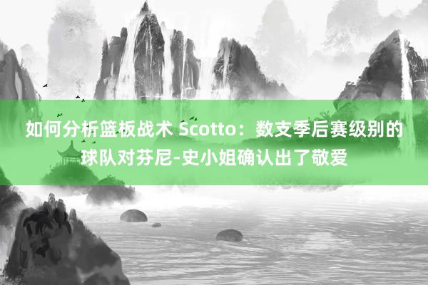 如何分析篮板战术 Scotto：数支季后赛级别的球队对芬尼-史小姐确认出了敬爱