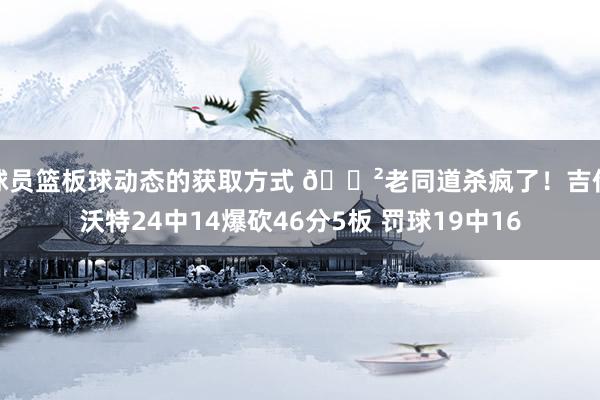 球员篮板球动态的获取方式 😲老同道杀疯了！吉伦沃特24中14爆砍46分5板 罚球19中16