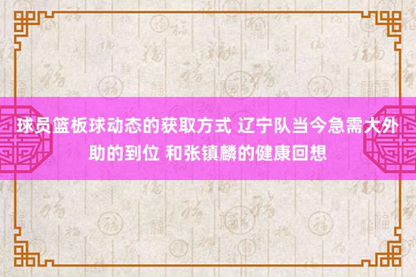 球员篮板球动态的获取方式 辽宁队当今急需大外助的到位 和张镇麟的健康回想