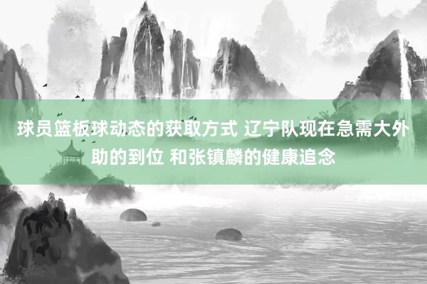 球员篮板球动态的获取方式 辽宁队现在急需大外助的到位 和张镇麟的健康追念