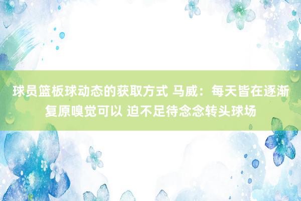 球员篮板球动态的获取方式 马威：每天皆在逐渐复原嗅觉可以 迫不足待念念转头球场