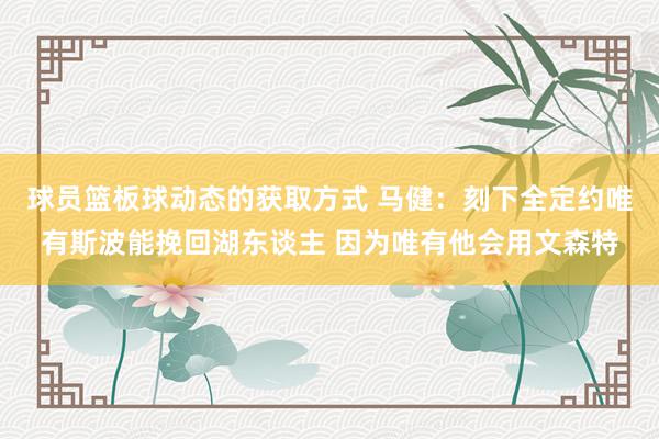 球员篮板球动态的获取方式 马健：刻下全定约唯有斯波能挽回湖东谈主 因为唯有他会用文森特