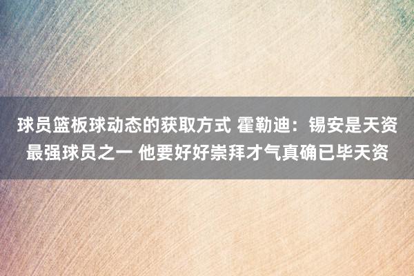 球员篮板球动态的获取方式 霍勒迪：锡安是天资最强球员之一 他要好好崇拜才气真确已毕天资