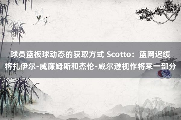 球员篮板球动态的获取方式 Scotto：篮网迟缓将扎伊尔-威廉姆斯和杰伦-威尔逊视作将来一部分