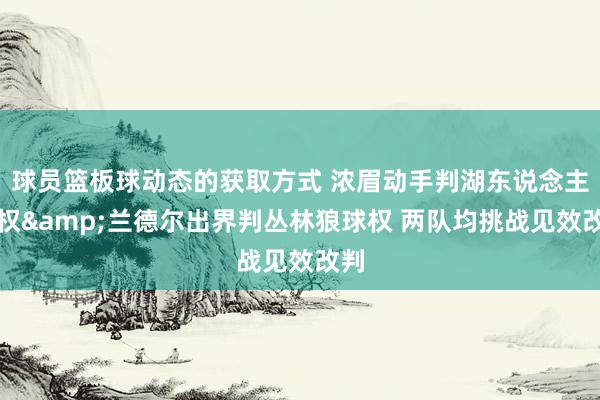 球员篮板球动态的获取方式 浓眉动手判湖东说念主球权&兰德尔出界判丛林狼球权 两队均挑战见效改判