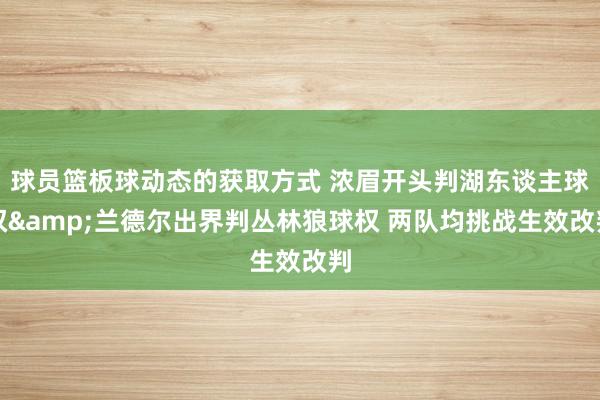 球员篮板球动态的获取方式 浓眉开头判湖东谈主球权&兰德尔出界判丛林狼球权 两队均挑战生效改判