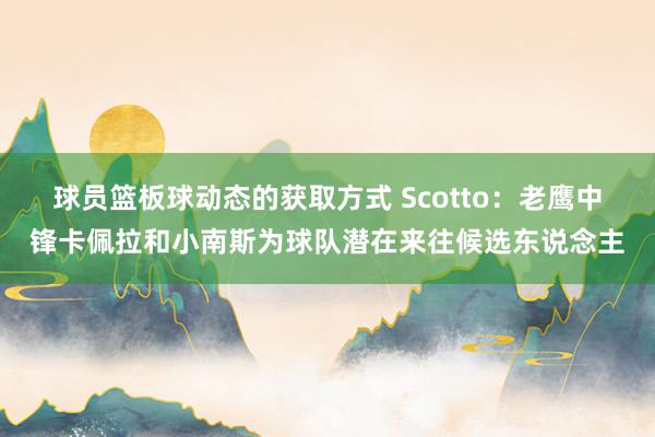 球员篮板球动态的获取方式 Scotto：老鹰中锋卡佩拉和小南斯为球队潜在来往候选东说念主