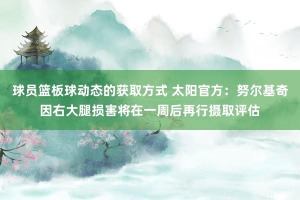 球员篮板球动态的获取方式 太阳官方：努尔基奇因右大腿损害将在一周后再行摄取评估